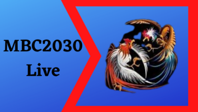 MBC2030 Live