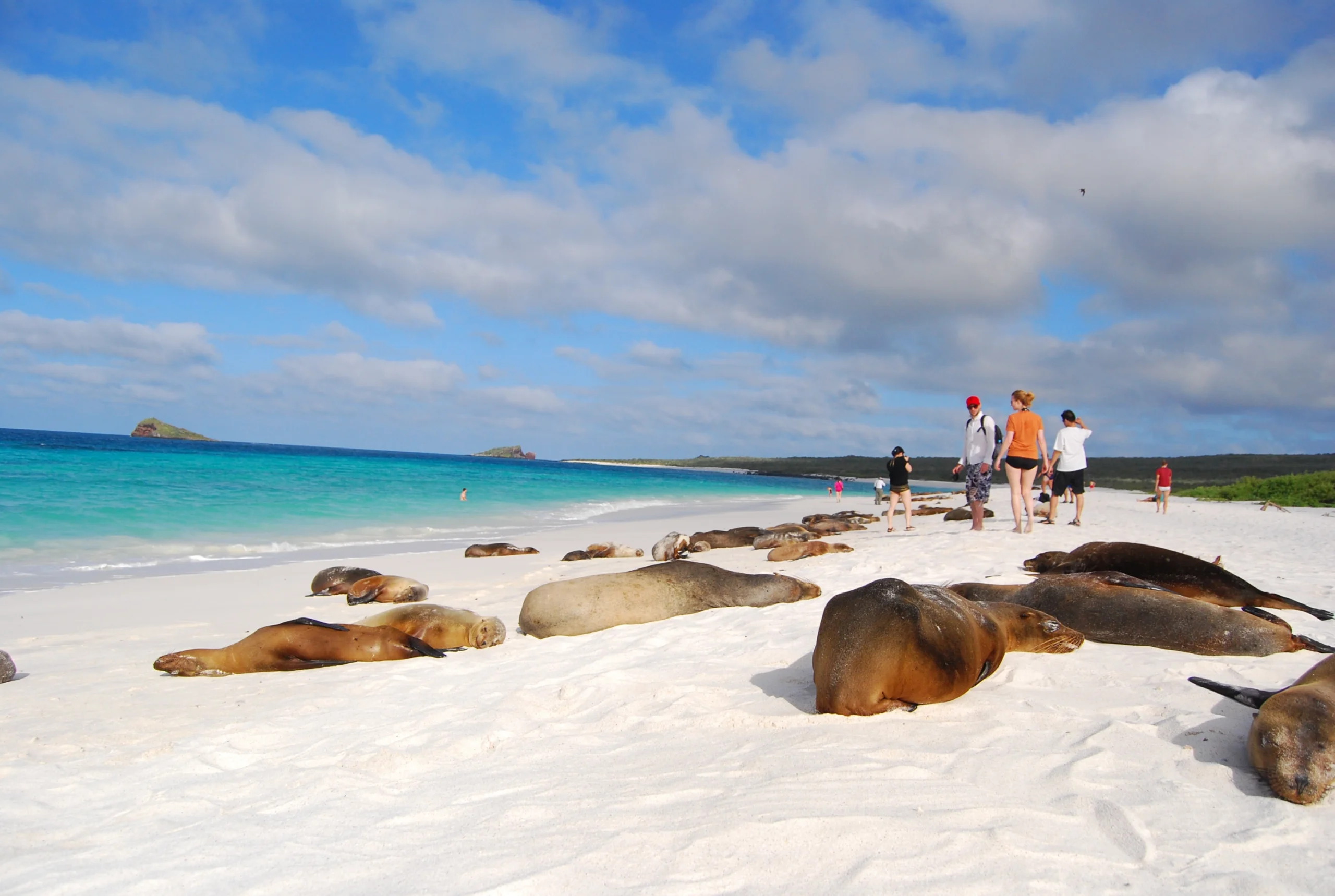 Exploring the Enchanted Isles: Galapagos Tours and Adventures