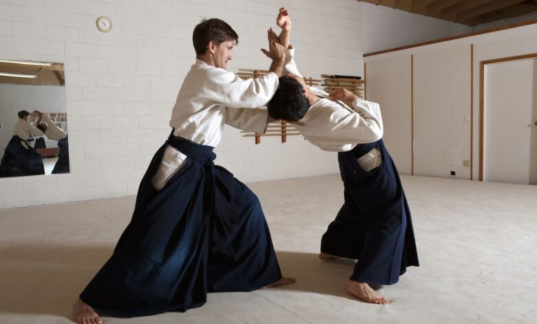 martial arts types